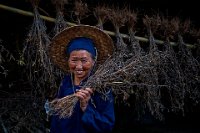 398 - LAUGHING GRANDMOTHER - GABERTHUEL WALTER - italy <div